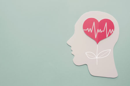 Paper brain and heart tree and wellness concept
