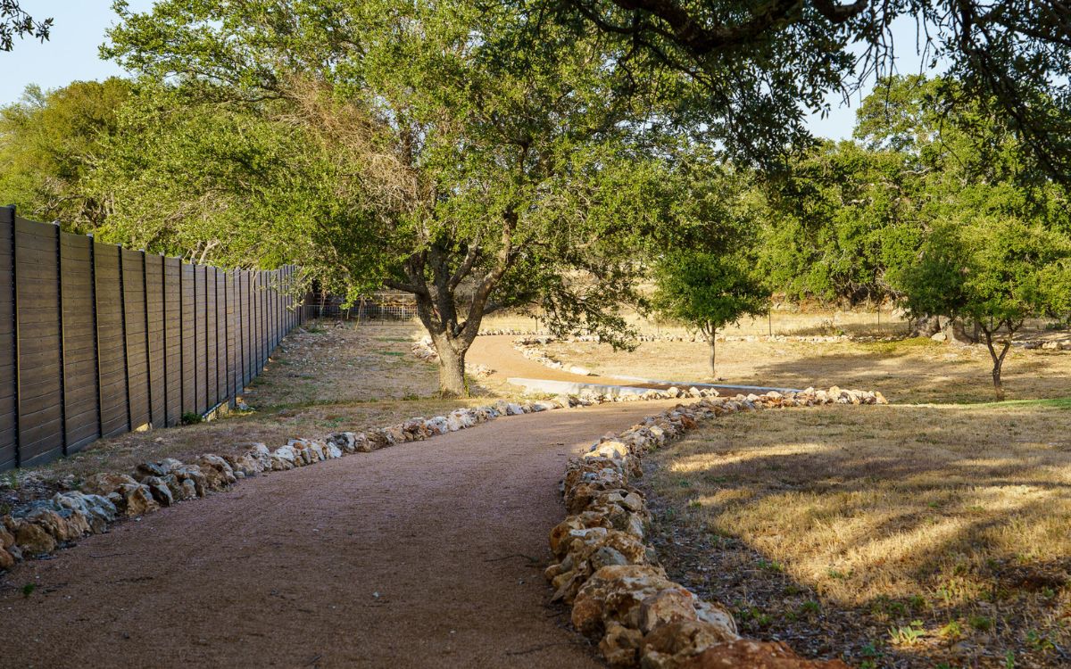 mental health treatment in texas