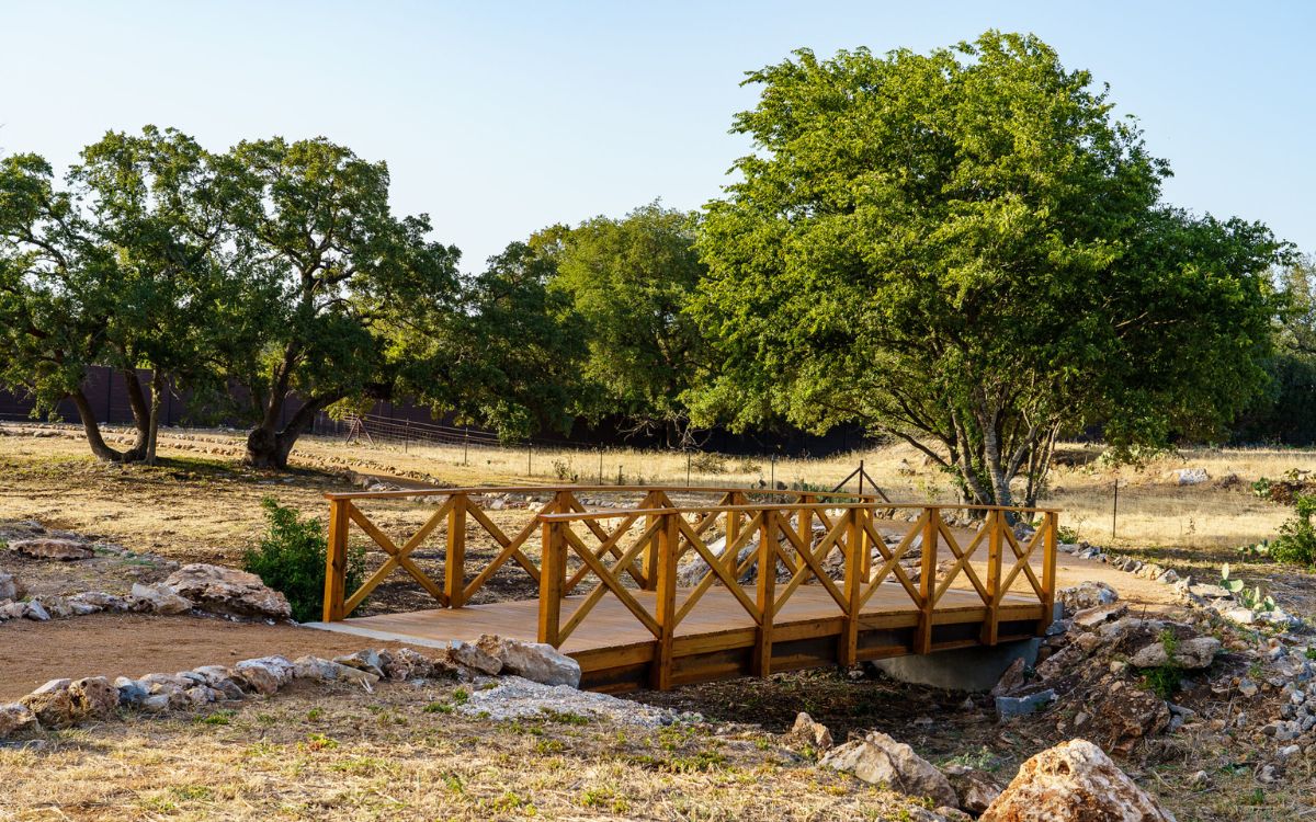 mental health treatment in texas