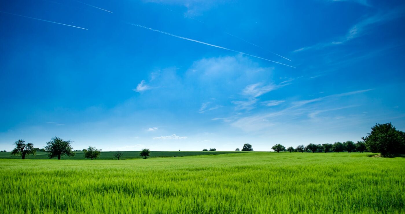 Wide open green field under a bright blue sky with scattered clouds